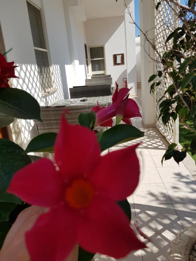 Zia Mia B&B Olbia Ngoại thất bức ảnh