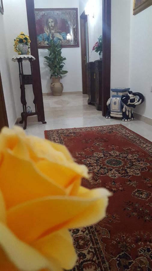 Zia Mia B&B Olbia Ngoại thất bức ảnh